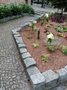 image000000