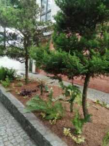 image000001