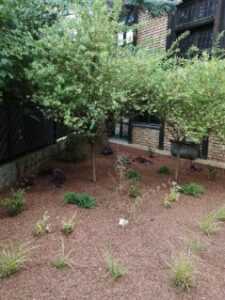 image000002