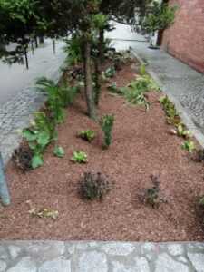 image000003