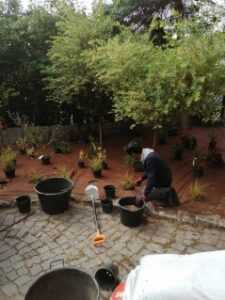 image000004