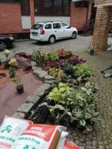 image000005