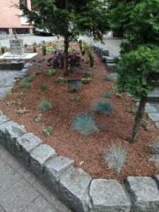 image000009